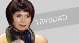 TRINIDAD Vignette